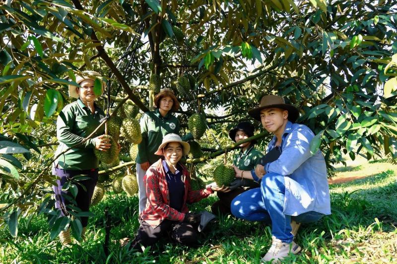 sầu riêng ảnh 7