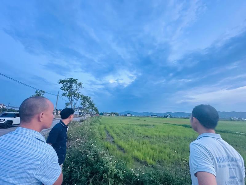 đấu giá  ảnh 1