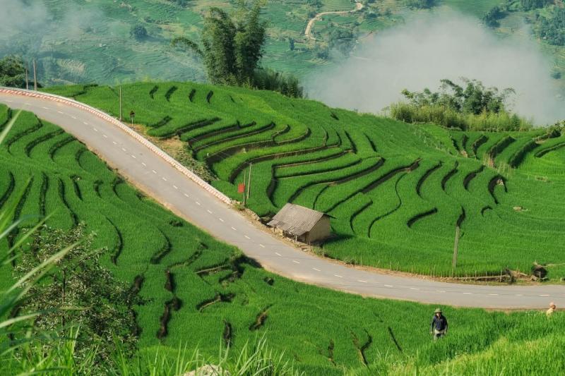 Y Tý,  mùa lúa ảnh 1