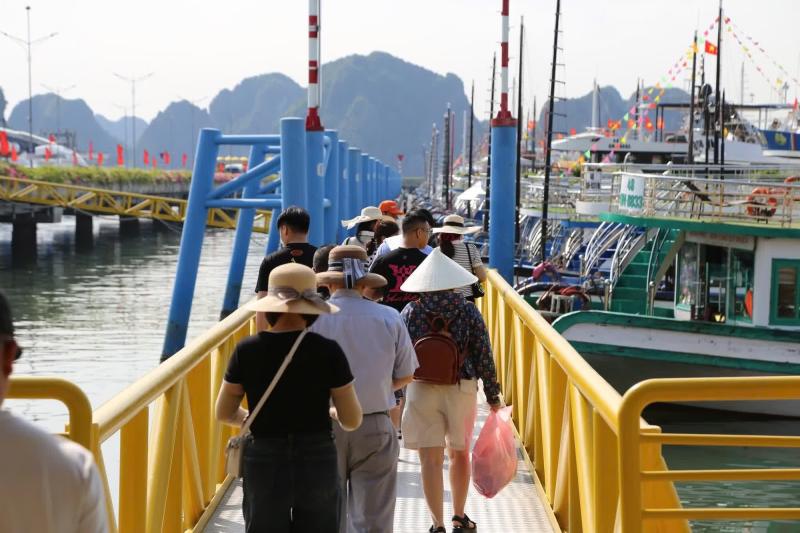 Hạ Long ảnh 2 Hạ Long ảnh 2