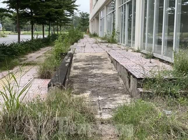 tái định cư ảnh 19 tái định cư ảnh 19