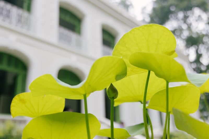 Dinh thự Pháp ảnh 5 Dinh thự Pháp ảnh 5