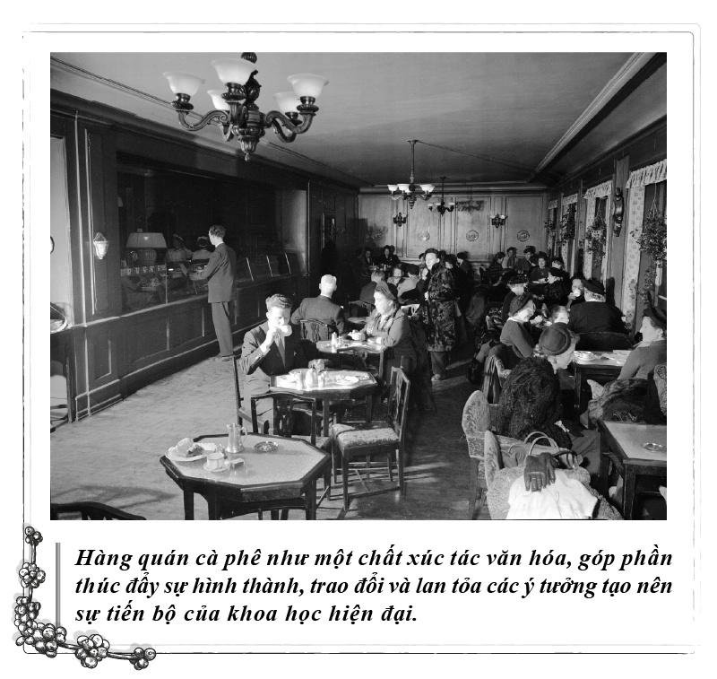 Cà phê triết đạo ảnh 6 Cà phê triết đạo ảnh 6