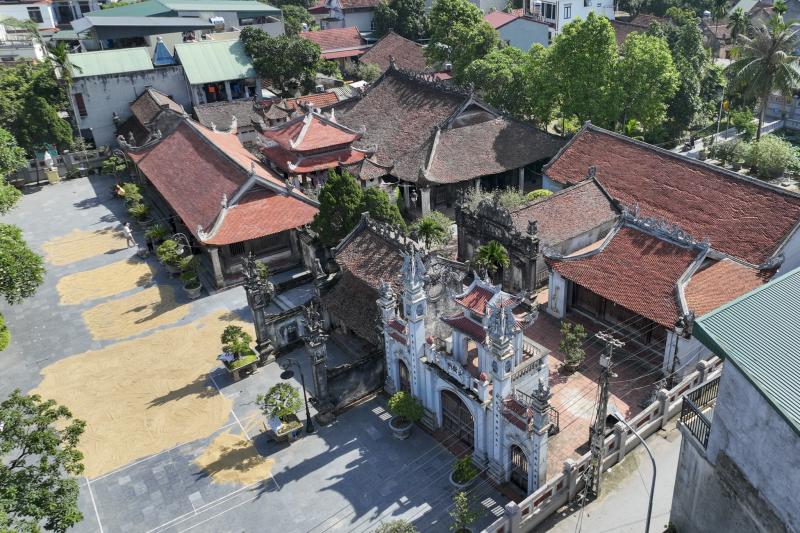 Phương Mỹ Chi ảnh 3 Phương Mỹ Chi ảnh 3