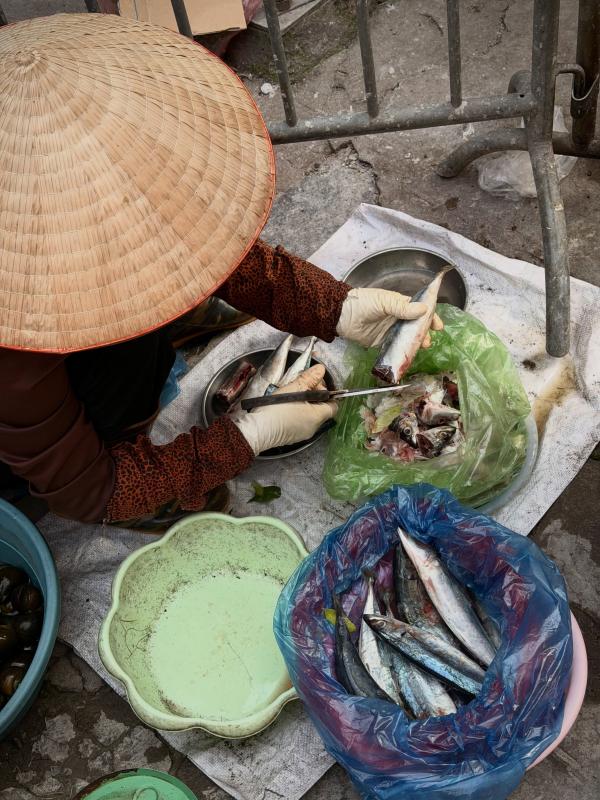 Hoa hậu thế giới,  Hà Nội ảnh 7