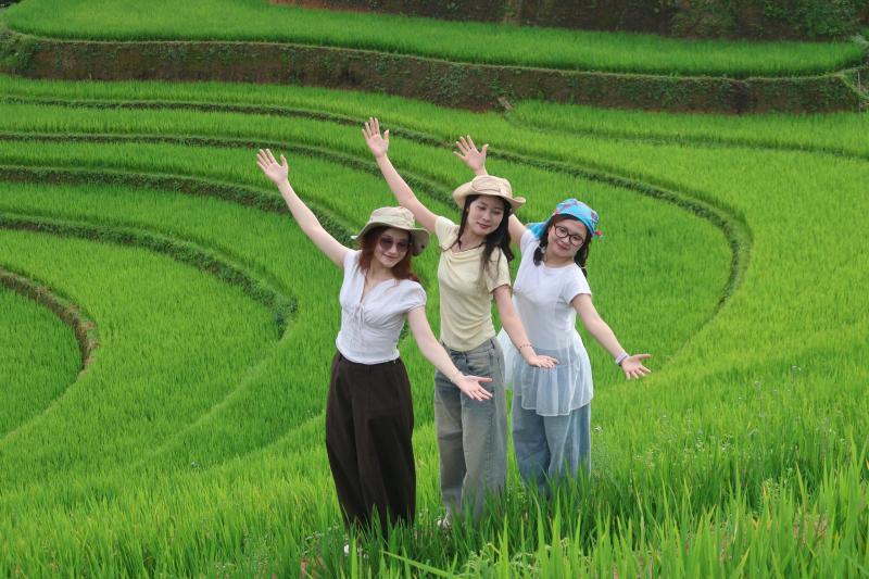 Mù Cang Chải ảnh 2
