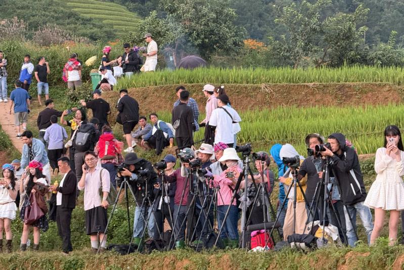 Mù Cang Chải ảnh 1