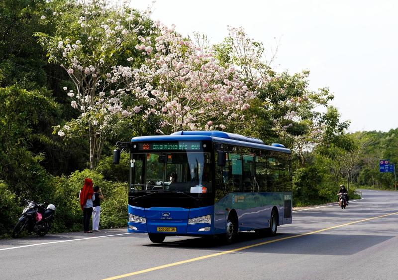 nút giao rừng sác ảnh 14 nút giao rừng sác ảnh 14