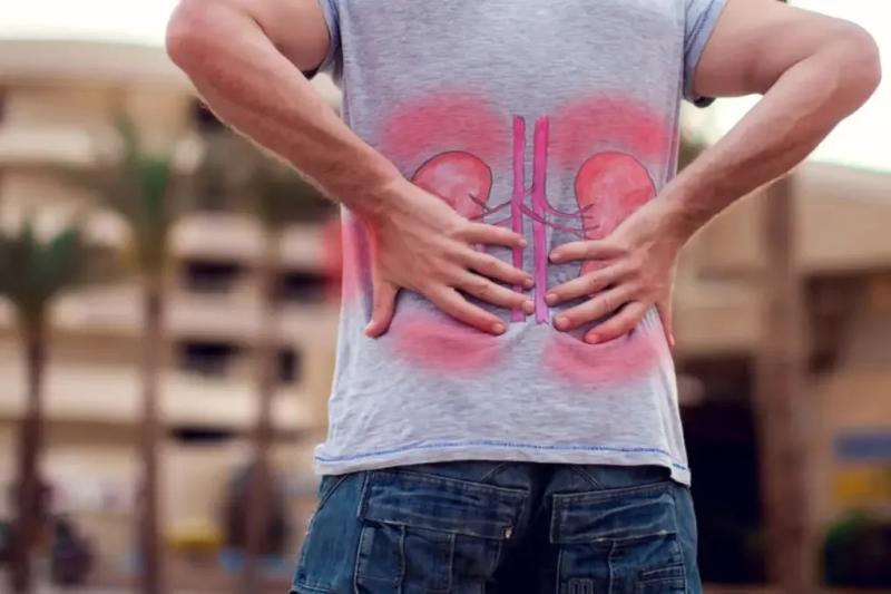 Dấu hiệu thận suy yếu ảnh 1 Dấu hiệu thận suy yếu ảnh 1