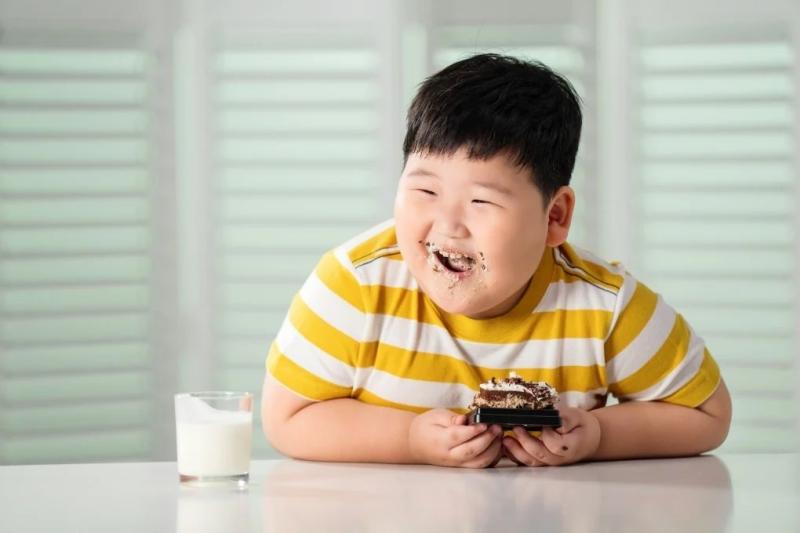 Trẻ béo phì ảnh 1