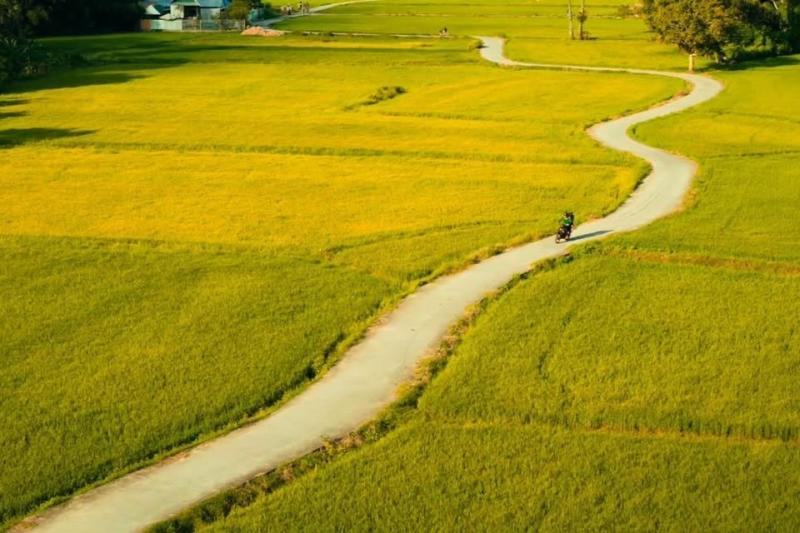 Trại buôn người ảnh 3 Trại buôn người ảnh 3