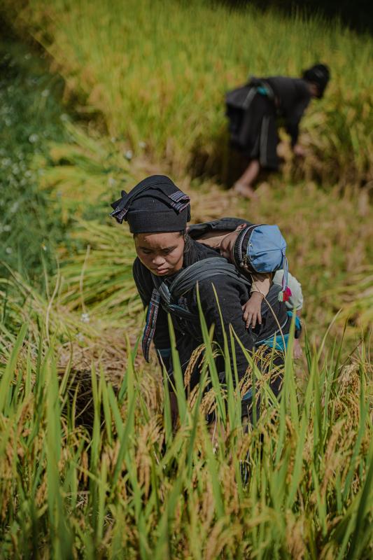 Hoàng Su Phì ảnh 3 Hoàng Su Phì ảnh 3