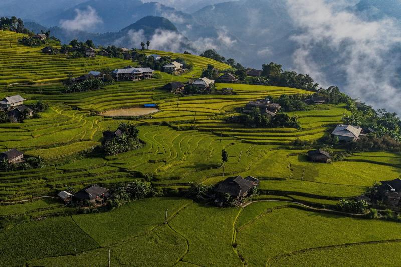 Hoàng Su Phì ảnh 6 Hoàng Su Phì ảnh 6