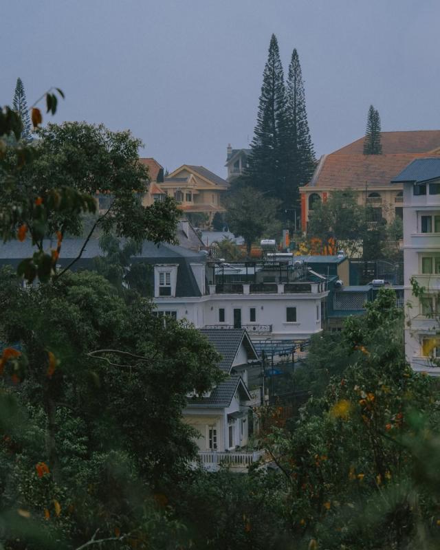 Đà Lạt ảnh 3