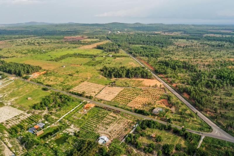 đất bỏ hoang ảnh 2