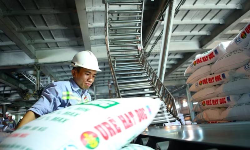 thuế ảnh 1 thuế ảnh 1