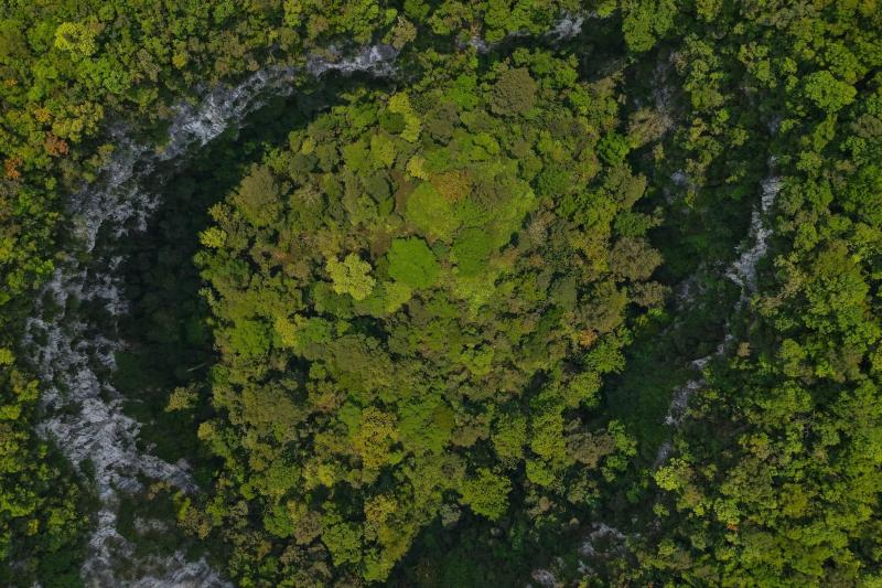 hố sụt,  Phong Nha Kẻ Bàng ảnh 3