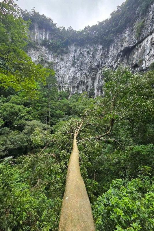 hố sụt,  Phong Nha Kẻ Bàng ảnh 7
