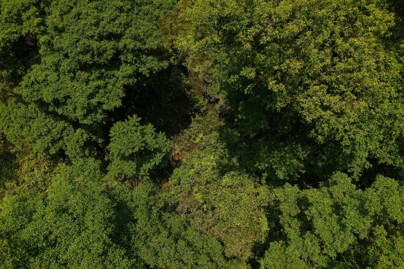 hố sụt,  Phong Nha Kẻ Bàng ảnh 6