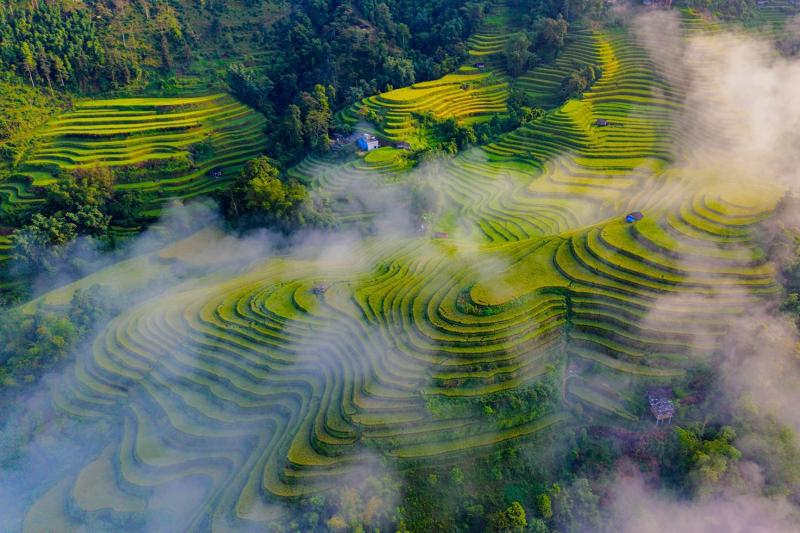 Hoàng Su Phì ảnh 8 Hoàng Su Phì ảnh 8