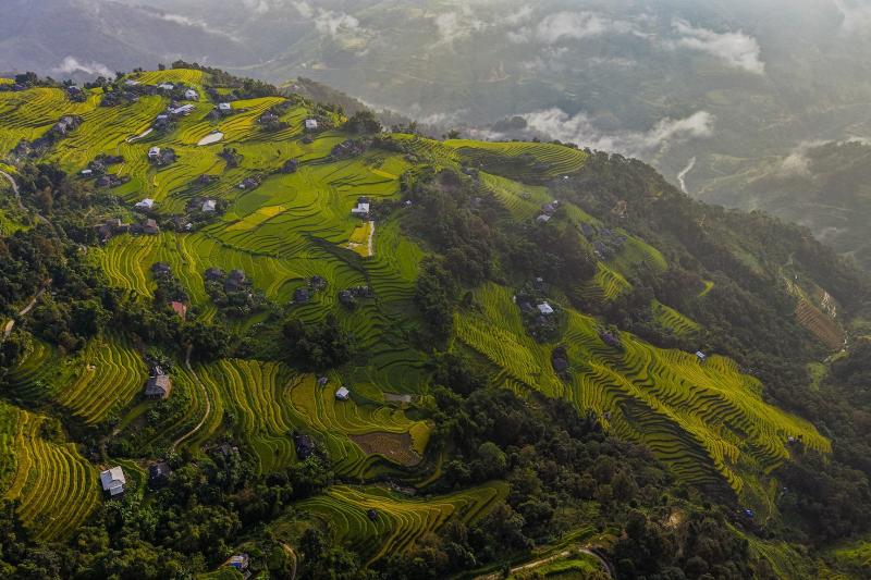 Hoàng Su Phì ảnh 9 Hoàng Su Phì ảnh 9