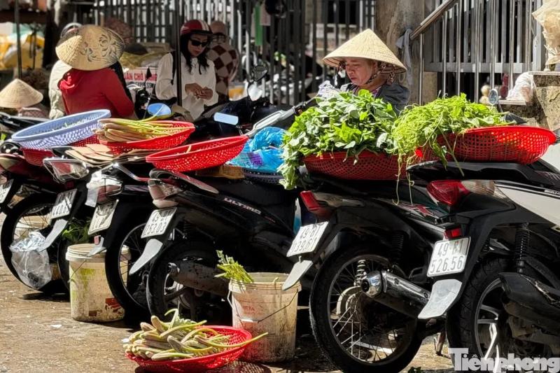 giá rau ảnh 3