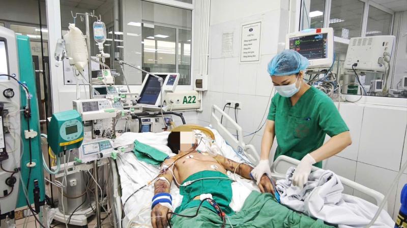 Liên cầu lợn ảnh 1