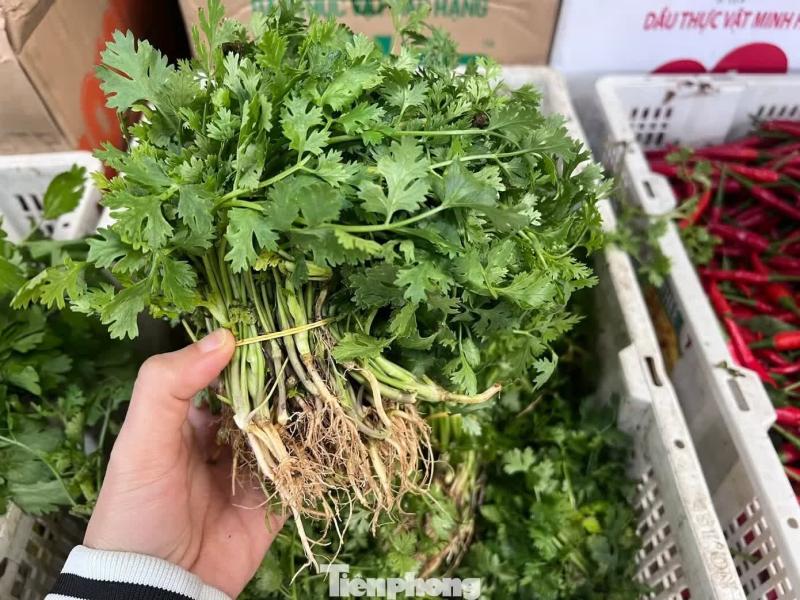 giá rau ảnh 4