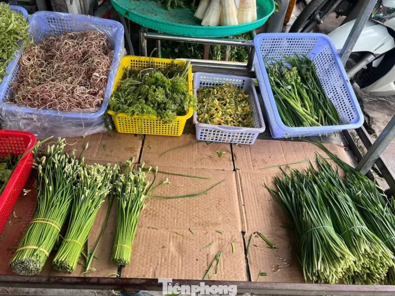 giá rau ảnh 5