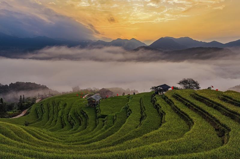 Hoàng Su Phì  ảnh 10