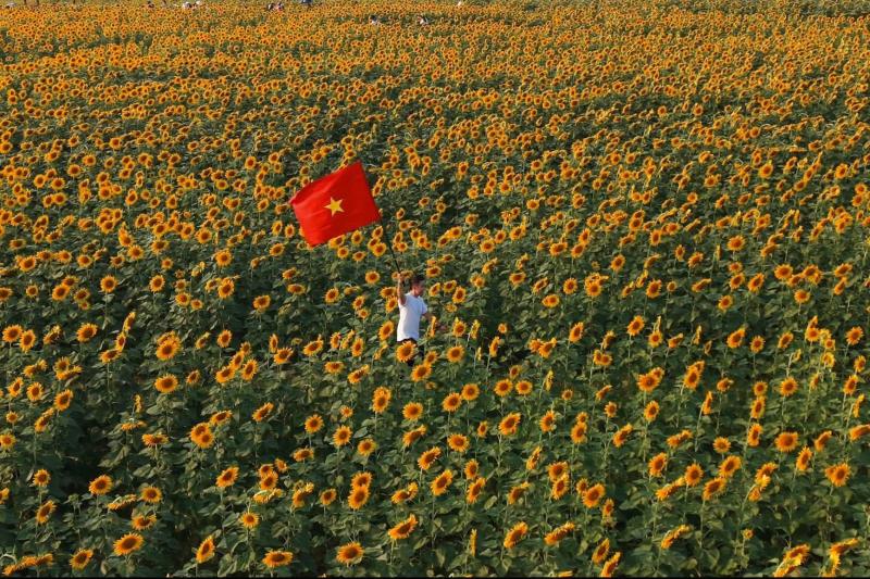 Nghệ An ảnh 16