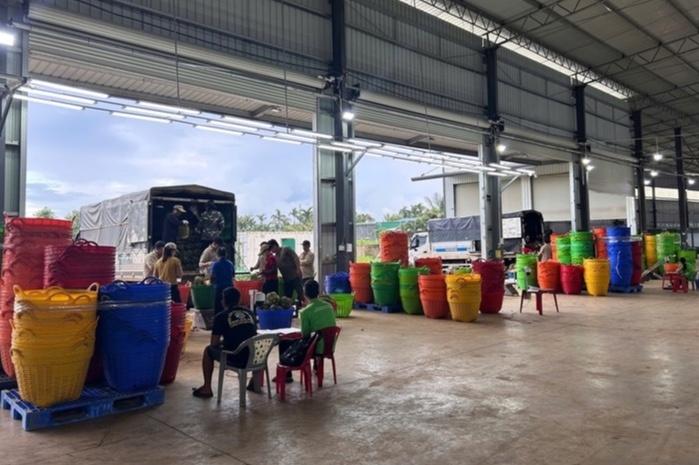sầu riêng ảnh 3 sầu riêng ảnh 3