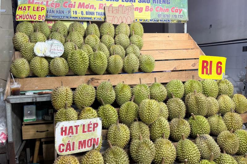 sầu riêng ảnh 1 sầu riêng ảnh 1
