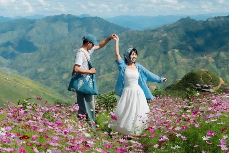 Tà Xùa,  vườn hoa ảnh 1