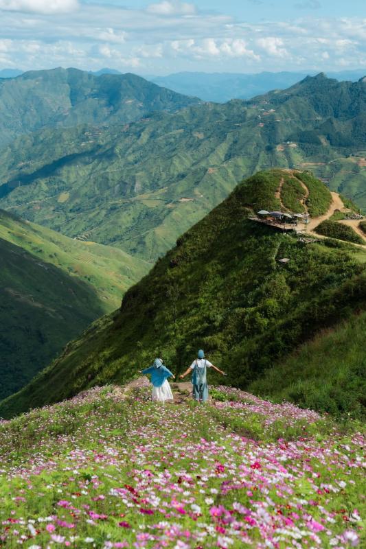 Tà Xùa, vườn hoa ảnh 2 Tà Xùa, vườn hoa ảnh 2