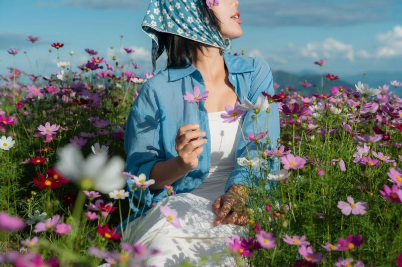 Tà Xùa, vườn hoa ảnh 4 Tà Xùa, vườn hoa ảnh 4