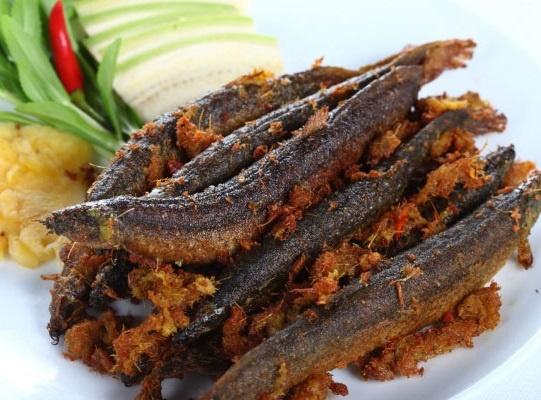 cá chạch ảnh 3 cá chạch ảnh 3