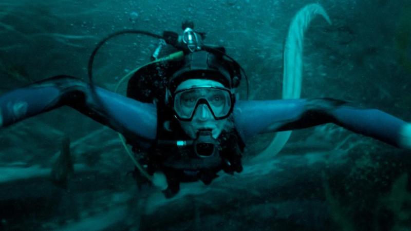 Whalefall ảnh 2